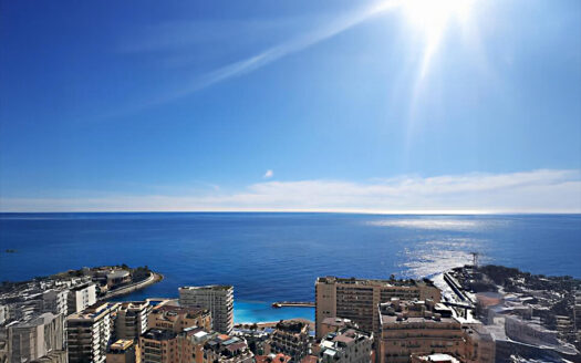 LAROUSSE | ANNONCIADE | 4 ROOMS