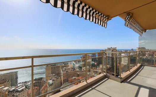 LAROUSSE | ANNONCIADE | 4 ROOMS