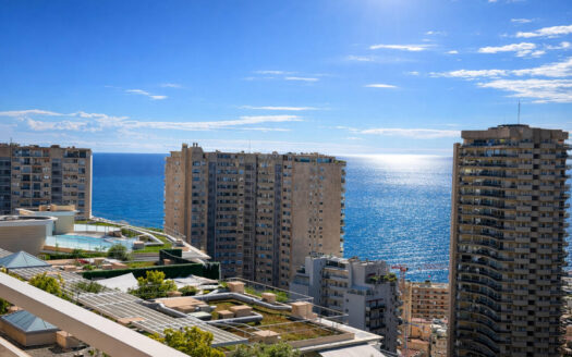 BEAUSOLEIL | APARTMENT | 2 ROOMS