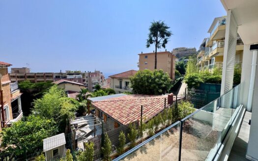 Charming, Luxuriously Furnished 1-Bedroom Apartment Near Monaco