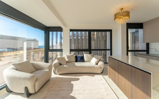 Spacious and bright 3-bedroom apartment on the border of Monaco — Résidence Olympe
