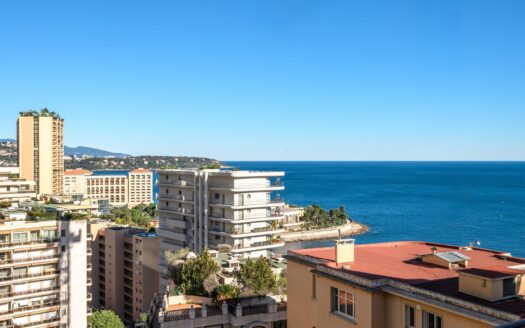 Elegant Renovated 1-Bedroom Apartment with Terrace | La Radieuse