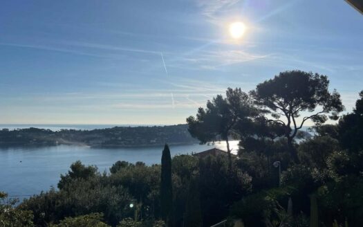 Villa – Avenue des Hespérides, Nice