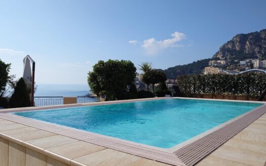 FONTVIEILLE | MEMMO CENTER | PENTHOUSE