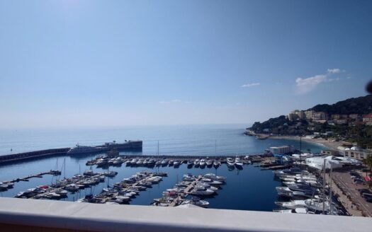 FONTVIEILLE | MEMMO CENTER | PENTHOUSE