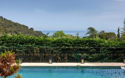 Belle Epoque villa near Eze Village
