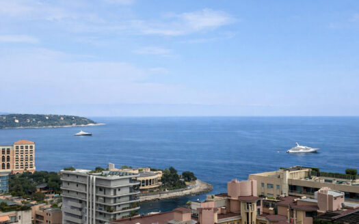 Exceptional triplex penthouse – Villa Annonciade