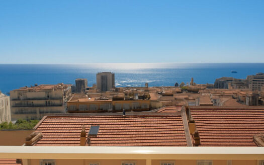 Charming furnished one-bedroom apartment with sea view – Beausoleil / At the gates of Monaco