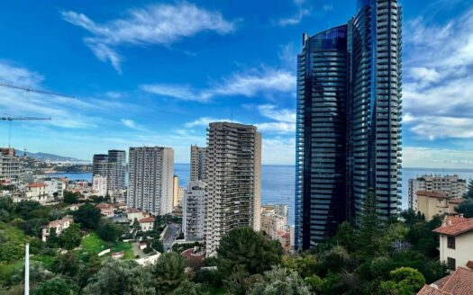 Beautiful furnished 2-bedroom apartment with terrace near Monaco