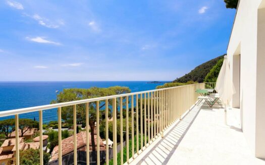Villa for sale Eze seaside
