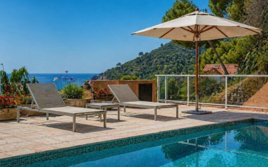 House for sale Eze seaside