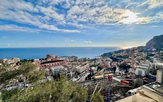 L’Exotique – Superb 3/4 room apartment with panoramic view
