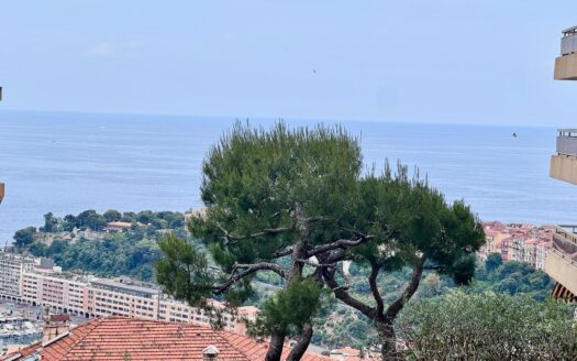 JARDIN EXOTIQUE | LES LIGURES | 3 ROOMS