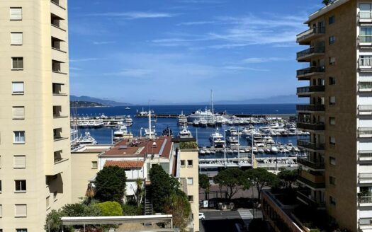 LA CONDAMINE | LE SUFFREN | DUPLEX