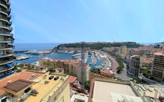 MONTE CARLO | ROSE DE FRANCE | DUPLEX
