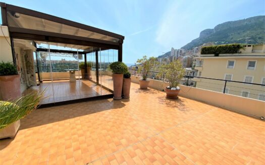 MONTE CARLO | ROSE DE FRANCE | DUPLEX