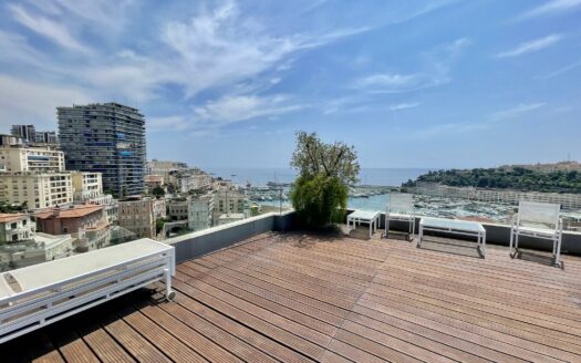 Magnificent Triplex Penthouse with Views of Port Hercules