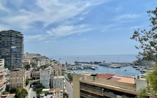 Magnificent Triplex Penthouse with Views of Port Hercules