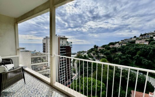EXOTIC GARDEN | BERMUDA SHORTS | 2 FURNISHED ROOMS