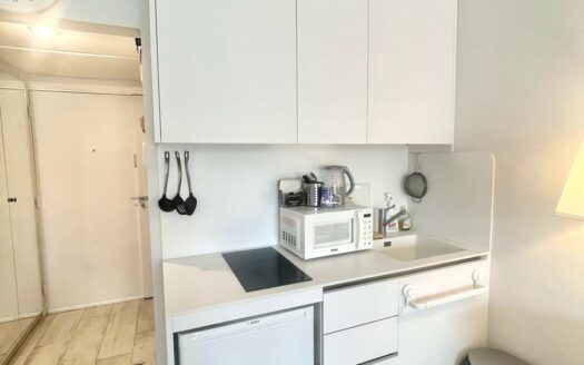 MONTE-CARLO | MONTAIGNE A | STUDIO