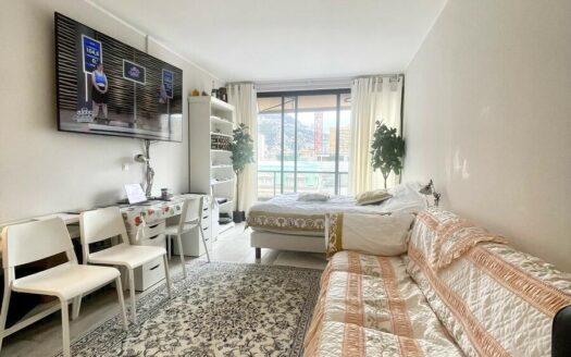 MONTE-CARLO | MONTAIGNE A | STUDIO