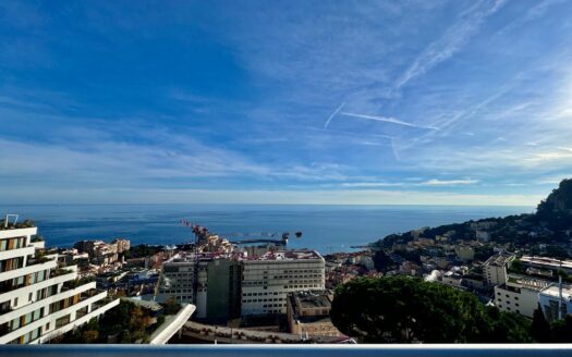 Penthouse to Renovate with Breathtaking Sea and Monaco Views