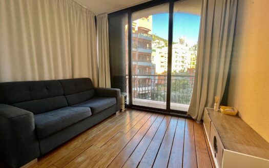 FONTVIEILLE | MICHELANGELO | 2 ROOMS