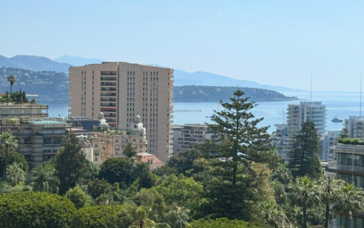 Furnished 2-Bedroom Apartment for Rent | Park Palace, Monaco Carré d’Or