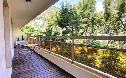 Les Ligures – renovated 3 room apartment with terrace & mountain view