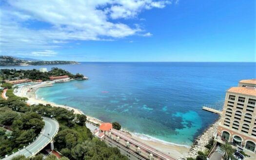 LAROUSSE | MONTE CARLO SUN | 4 ROOMS