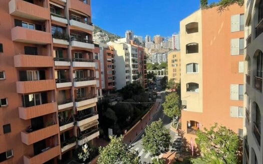 FONTVIEILLE | MICHELANGELO | 2 ROOMS